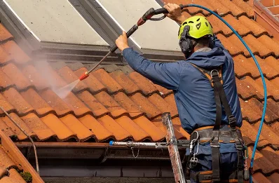 Démoussage et hydrofuge de toiture à la Haye-d'Ectot